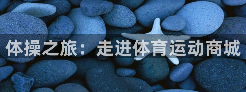 3377体育官网下载平台注册流程视频:体操之旅:走进体育运动