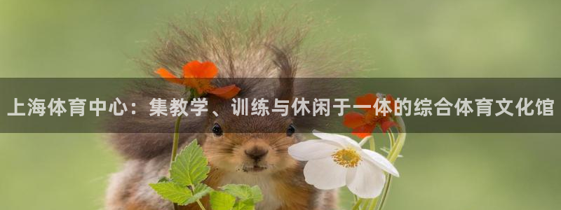 3377体育官方正版app神州:上海体育中心:集教学、训练与