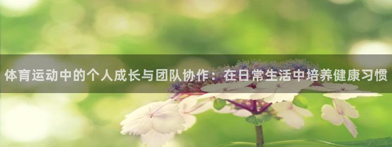 3377体育官方正版app新能源:体育运动中的个人成长与团队