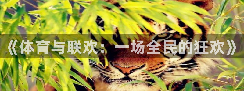 3377体育官方正版app娱乐40996:《体育与联欢:一场